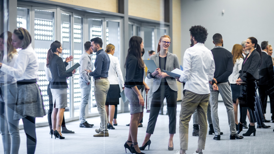 Affiliate business scaling with systems and automation